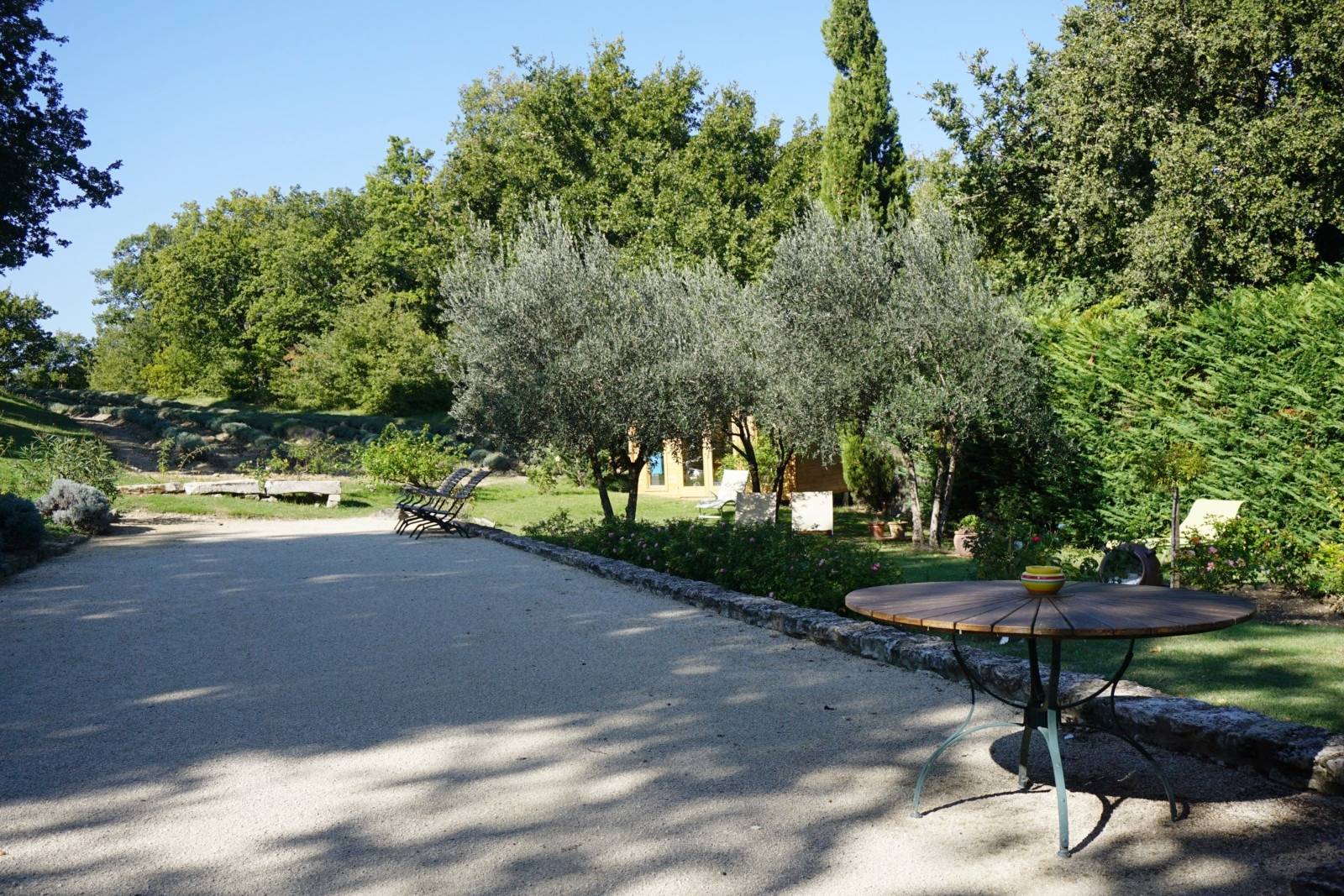 vue sur les lavandes